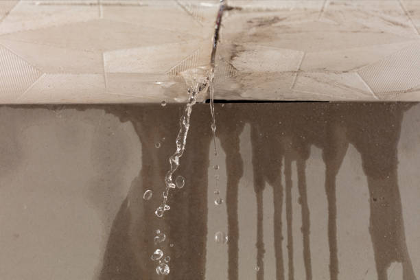 Professional Burst Pipe Cleanup technician working in Williamsburg, MA